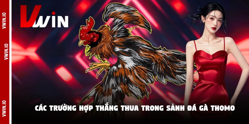 Các trường hợp thắng thua trong sảnh đá gà Thomo Các trường hợp thắng thua trong sảnh đá gà Thomo