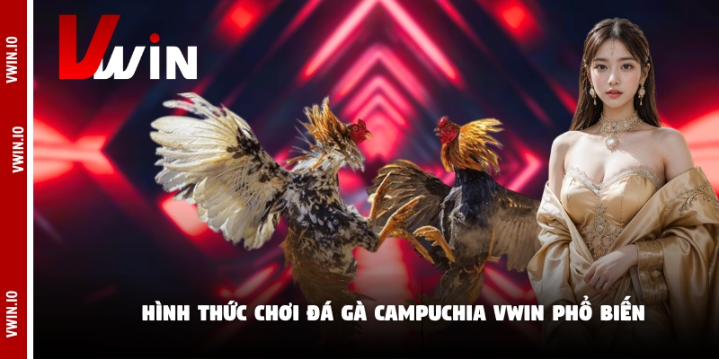 Hình thức chơi đá gà campuchia Vwin phổ biến Hình thức chơi đá gà campuchia Vwin phổ biến