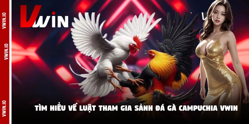 Tìm hiểu về luật tham gia sảnh đá gà campuchia Vwin Tìm hiểu về luật tham gia sảnh đá gà campuchia Vwin