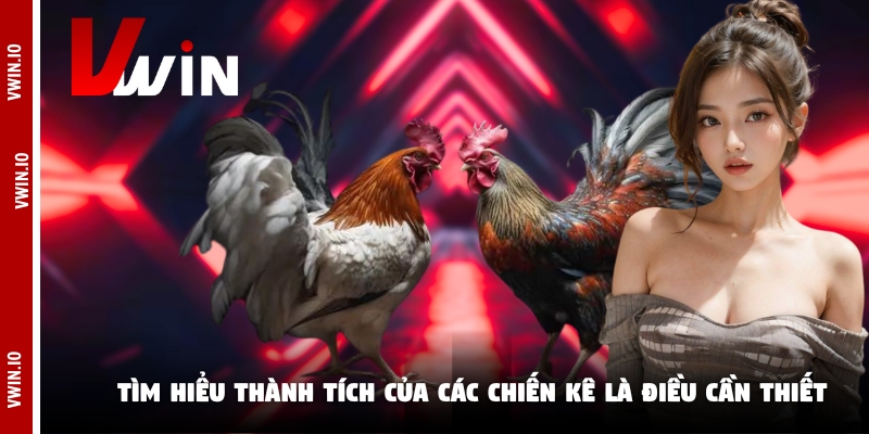 Tìm hiểu thành tích của các chiến kê là điều cần thiết Tìm hiểu thành tích của các chiến kê là điều cần thiết