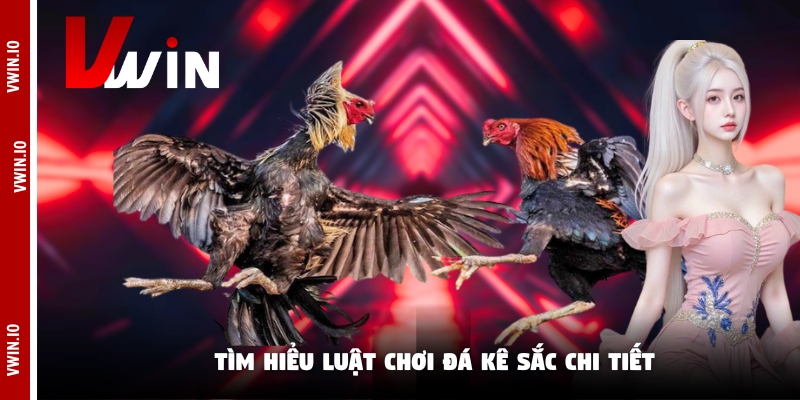 Tìm hiểu luật chơi đá kê sắc chi tiết Tìm hiểu luật chơi đá kê sắc chi tiết