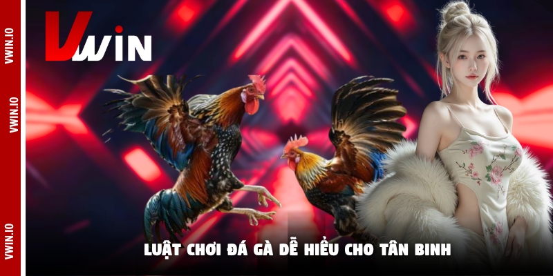 Luật chơi đá gà dễ hiểu cho tân binh Luật chơi đá gà dễ hiểu cho tân binh