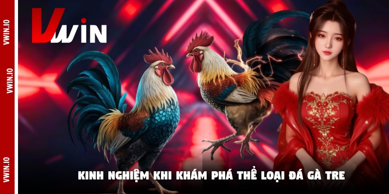 Kinh nghiệm khi khám phá thể loại đá gà tre Kinh nghiệm khi khám phá thể loại đá gà tre