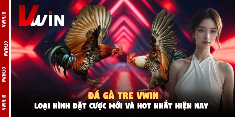 Đá Gà Tre Vwin - Loại Hình Đặt Cược Mới Và Hot Nhất Hiện Nay
