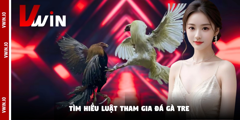 Tìm hiểu luật tham gia đá gà tre Tìm hiểu luật tham gia đá gà tre
