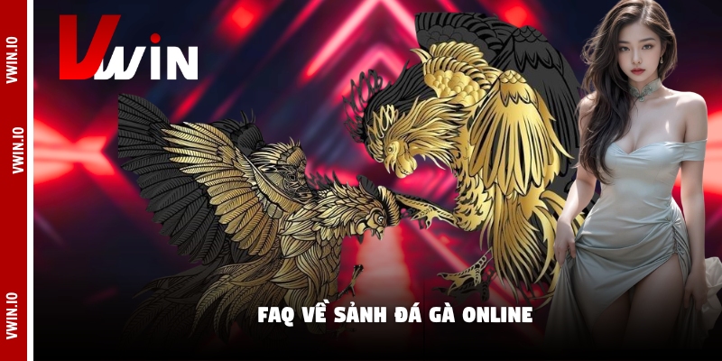 FAQ về sảnh đá gà online FAQ về sảnh đá gà online