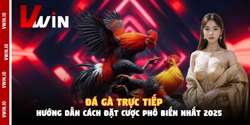 Đá Gà Trực Tiếp - Hướng Dẫn Cách Đặt Cược Phổ Biến Nhất 2025