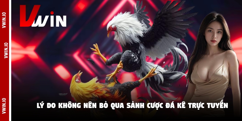 Lý do không nên bỏ qua sảnh cược đá kê trực tuyến Lý do không nên bỏ qua sảnh cược đá kê trực tuyến