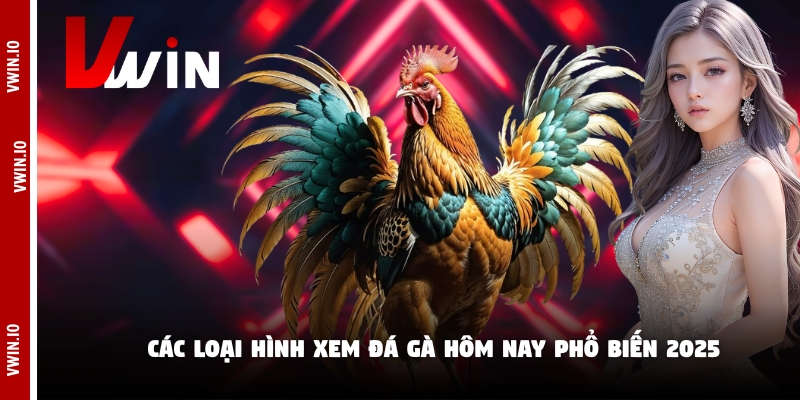 Các loại hình xem đá gà hôm nay phổ biến 2025 Các loại hình xem đá gà hôm nay phổ biến 2025