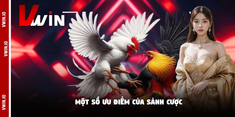 Một số ưu điểm của sảnh cược Một số ưu điểm của sảnh cược